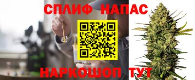 стафф Нальчик