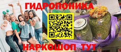 стафф Нальчик