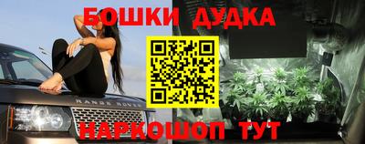 крисы Нарткала