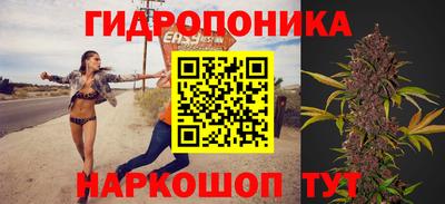 стафф Нальчик