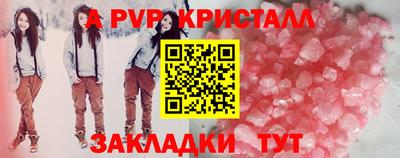 стафф Нальчик