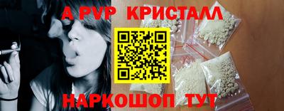 стафф Нальчик