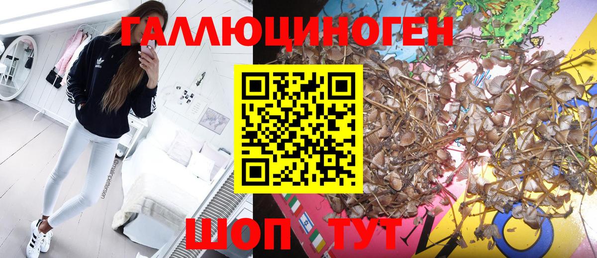 Галлюциногенные грибы прущие грибы Скопин